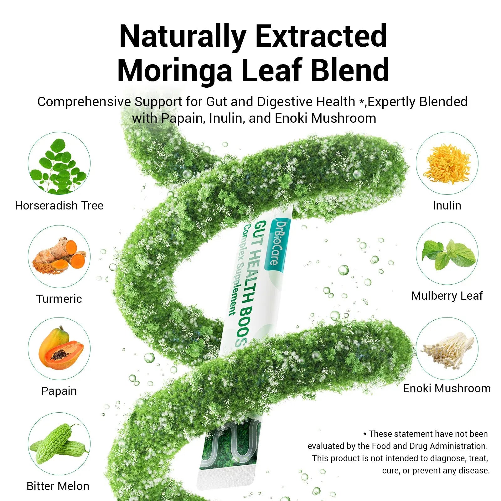 Naturally Extracted Moringa Leaf Blend