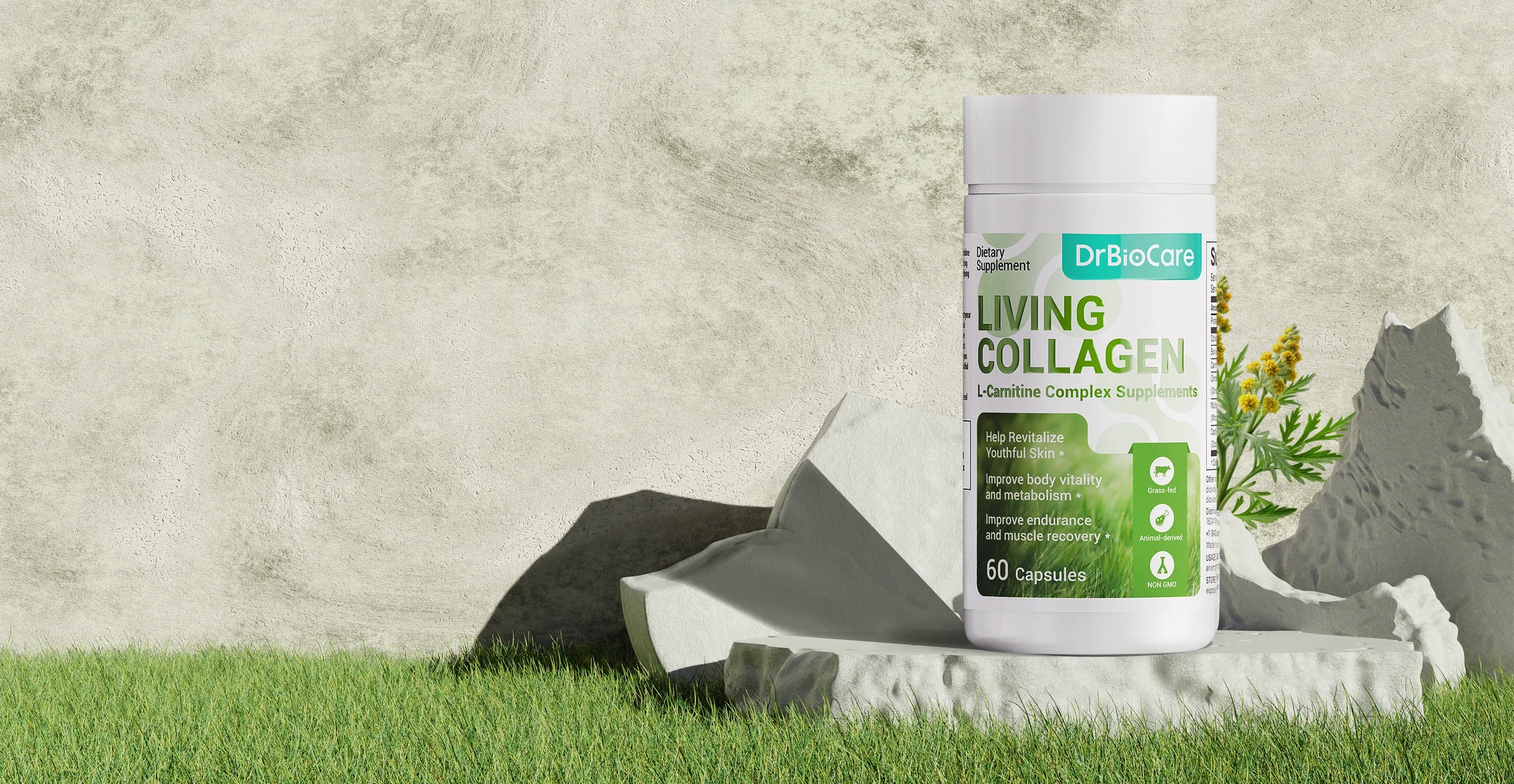 胶原主图.webp__PID:3030b492-9bd0-4cb0-833e-12c7a7aef0b5